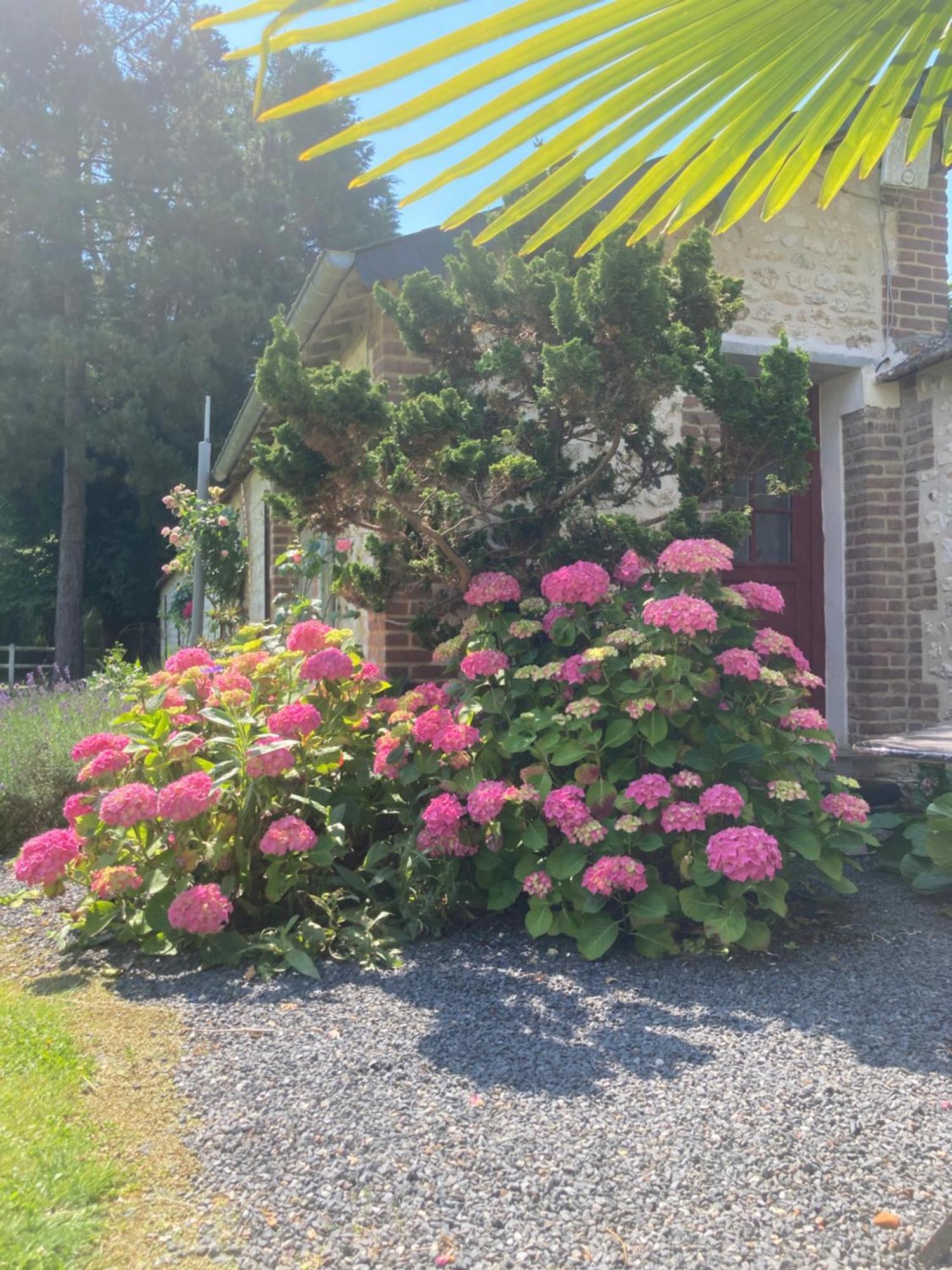 L'Oreade Amfreville-sur-Iton Dış mekan fotoğraf